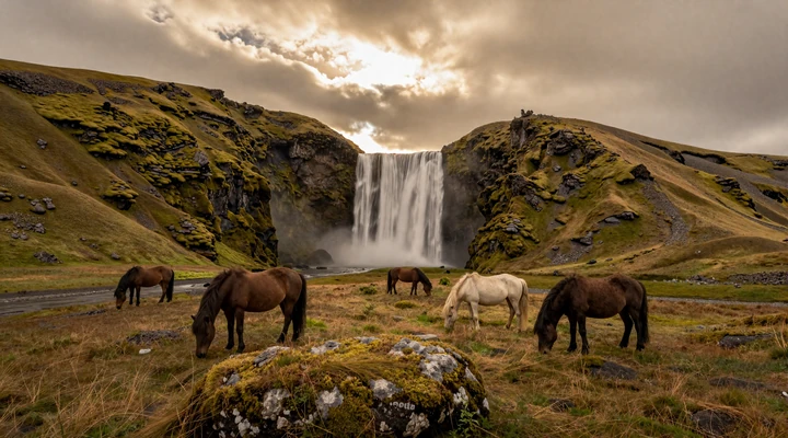 Dramatic Icelandic landscape with moss-covered volcanic rock and wild horses grazing beneath moody skies representing Iceland's raw natural beauty